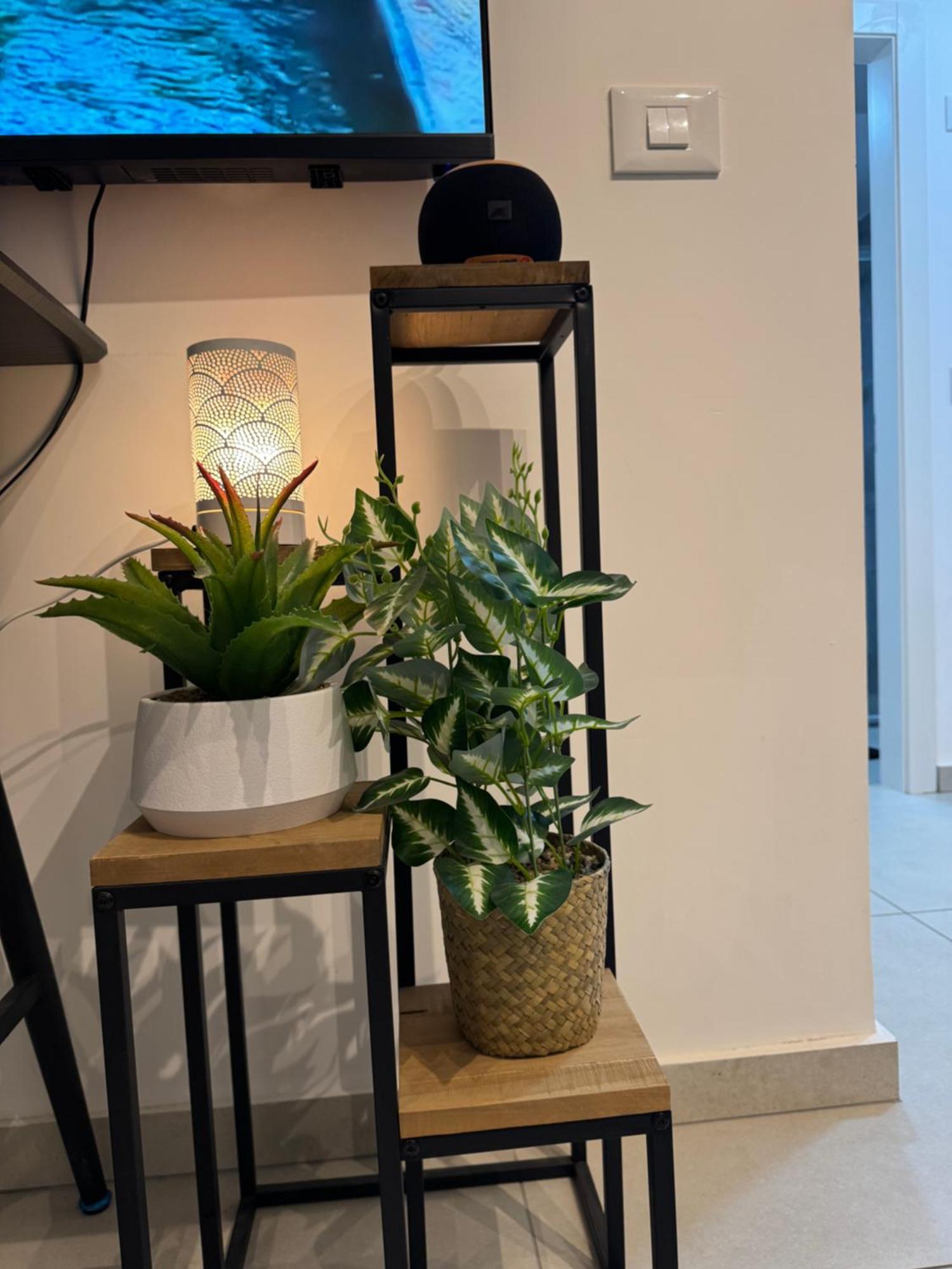 פסגת הדקל Apartment เอลัต ภายนอก รูปภาพ